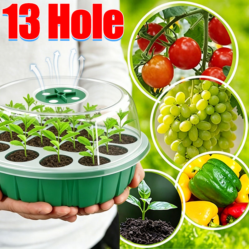 Dome Propagation Kit - Kit de Inicio de Cultivo con