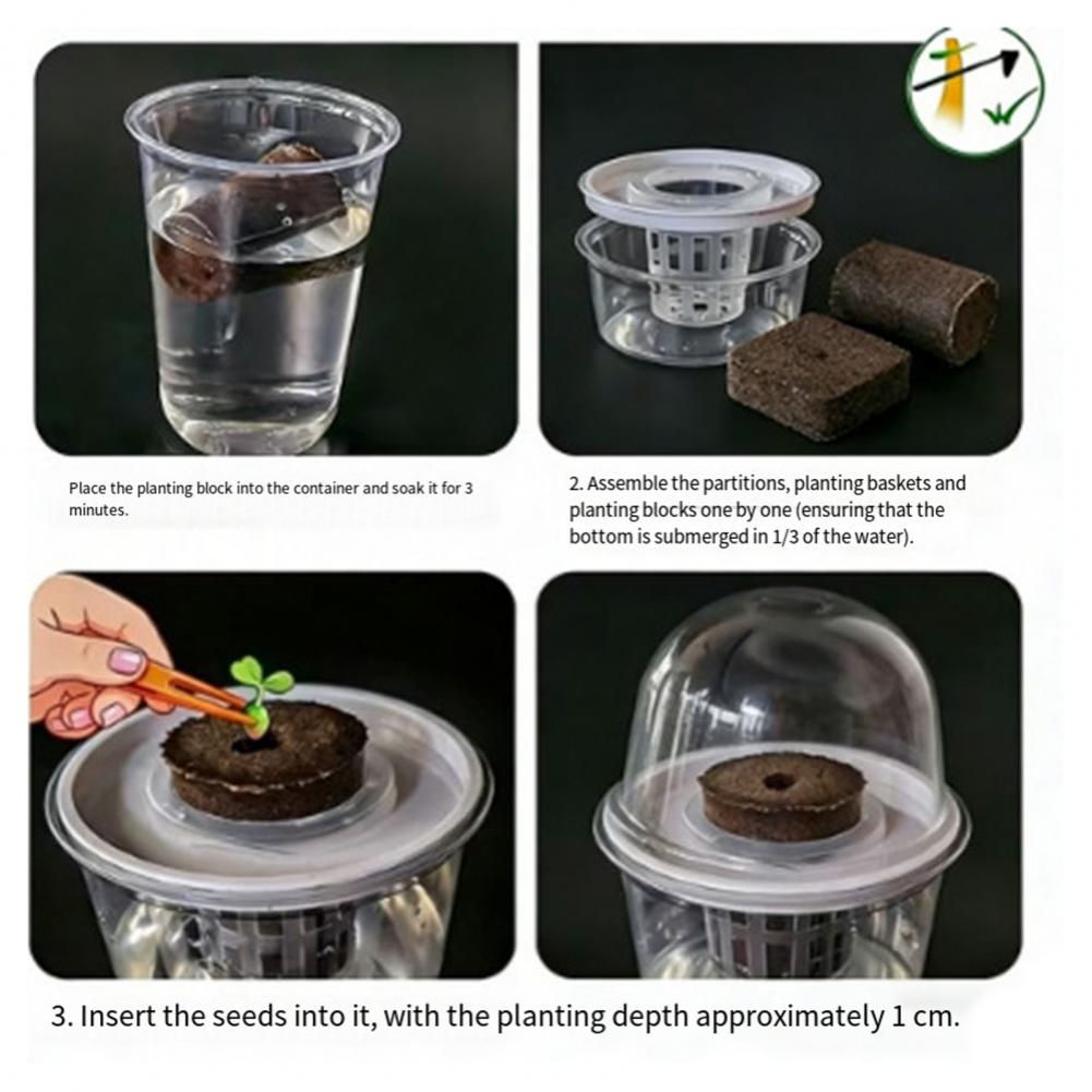 Dome Propagation Kit - Kit de Estación de Propagación de