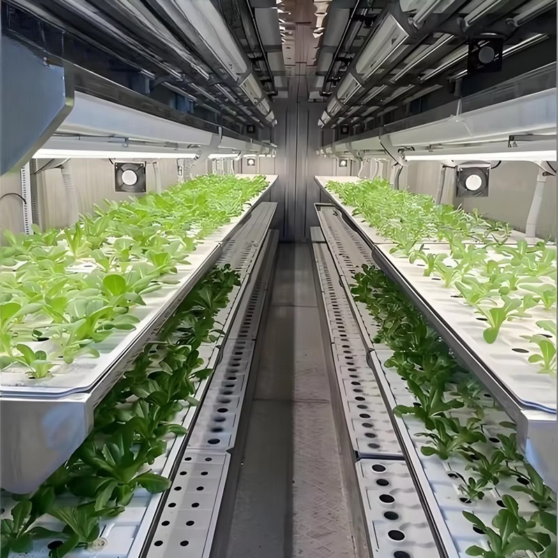 Contenedor de Cultivo Intelige - Urban Farming Hydroponics reseña y precio
