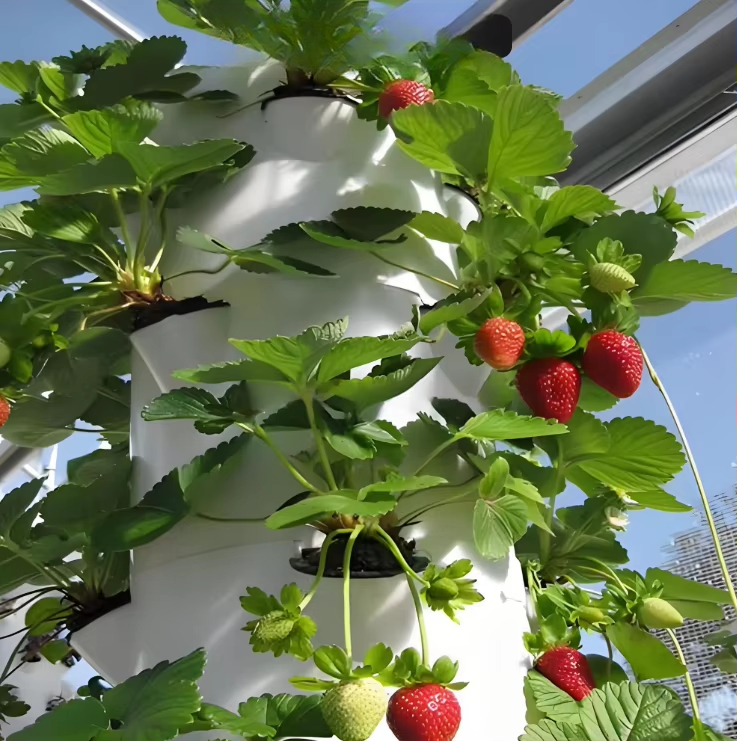 Sistema modular de cultivo hid - Urban Farming Hydroponics reseña y precio