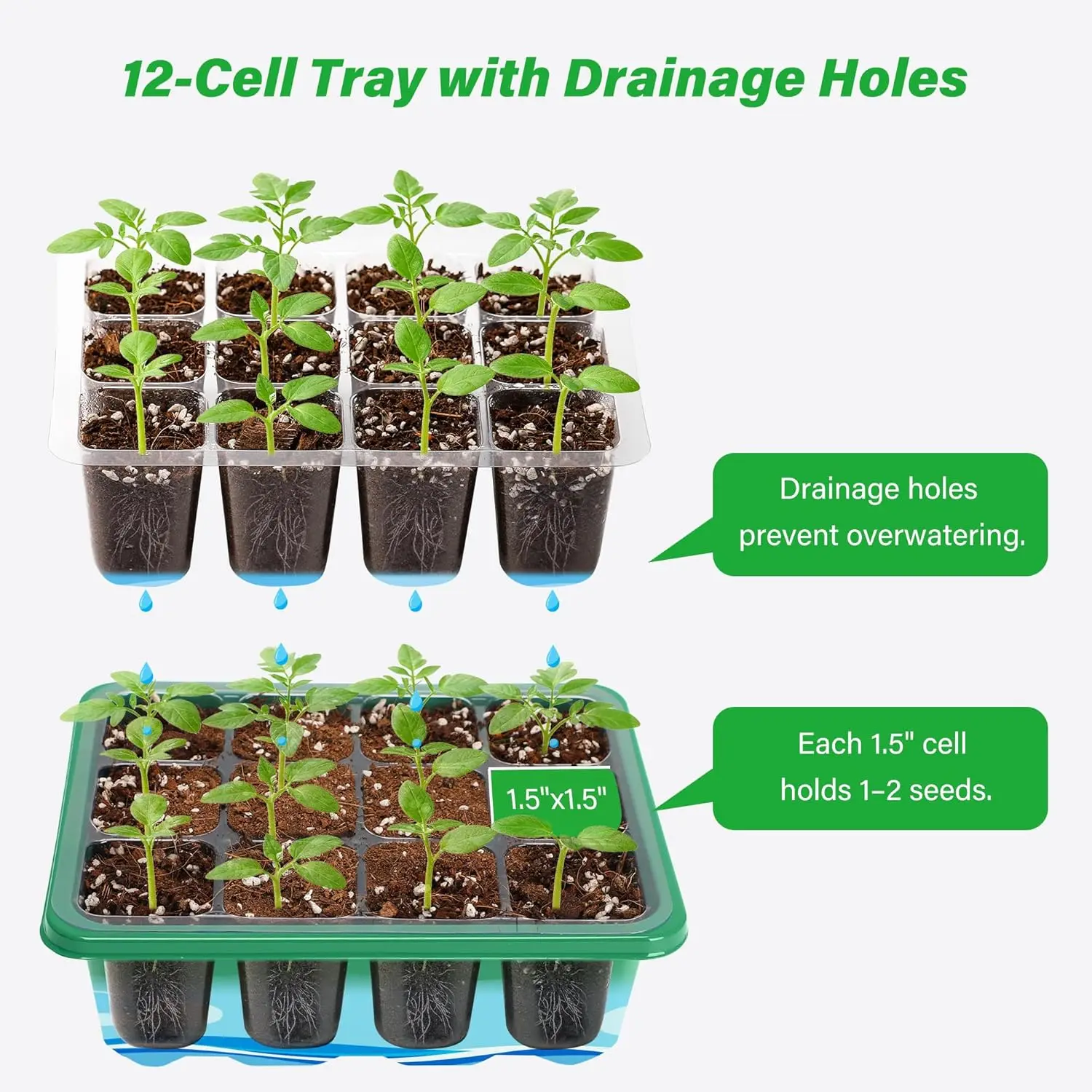 Kit de Inicio de Cultivo con B - Dome Propagation Kit reseña y precio