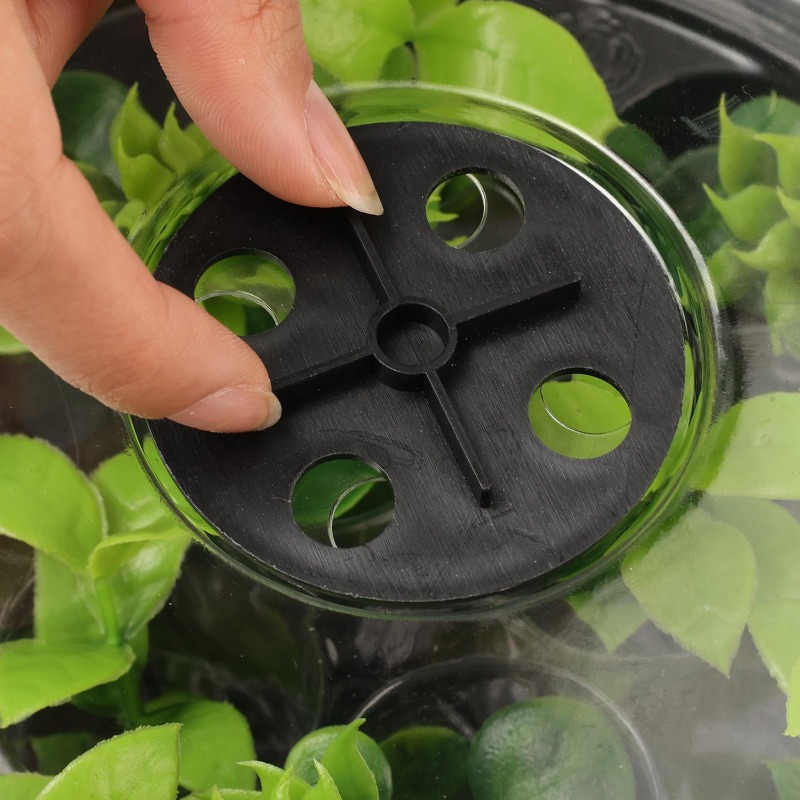 Kit de Inicio de Cultivo con B - Dome Propagation Kit reseña y precio