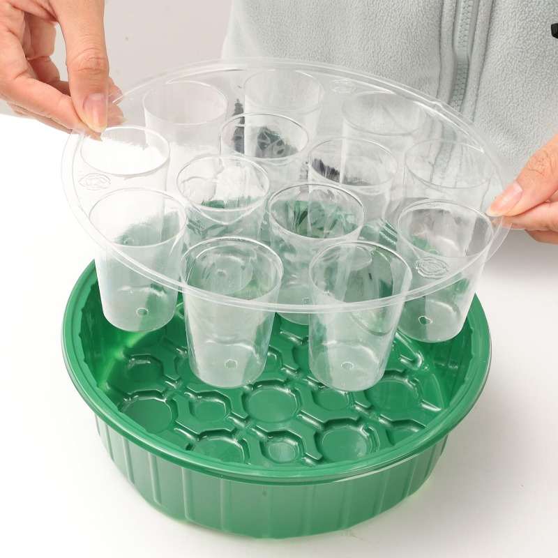 Kit de Inicio de Cultivo con B - Dome Propagation Kit reseña y precio