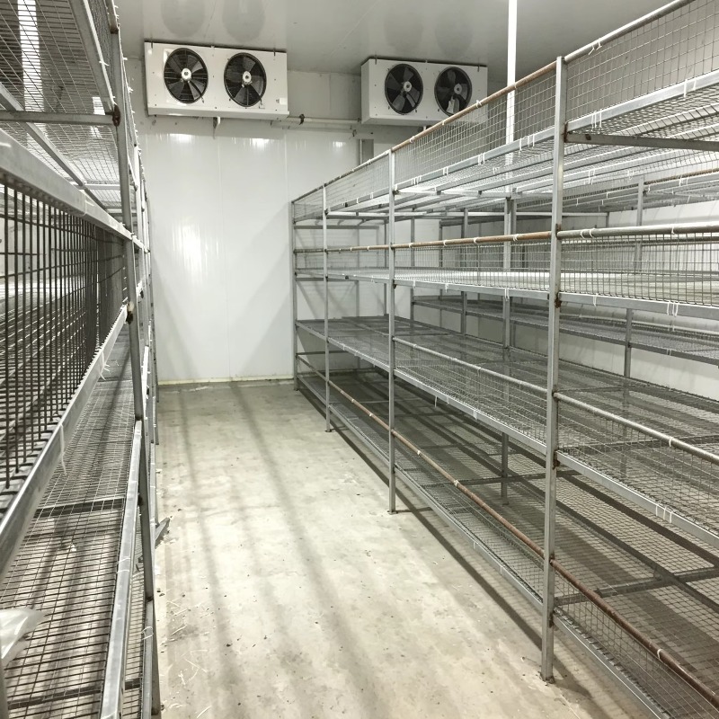 Granja Hidropónica en Contened - Urban Farming Hydroponics reseña y precio