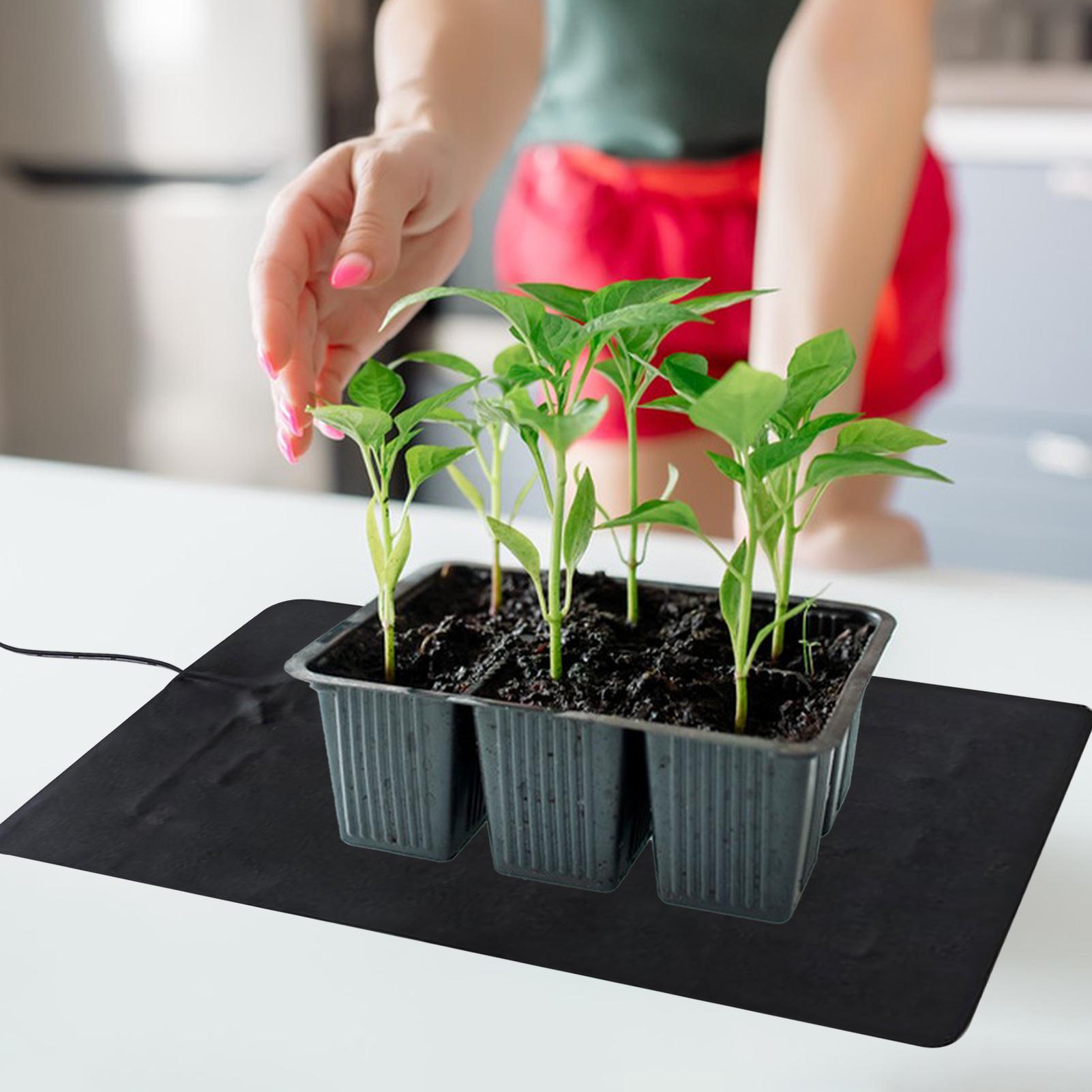 Alfombrilla Térmica para Plánt - Seedling Heat Pad reseña y precio