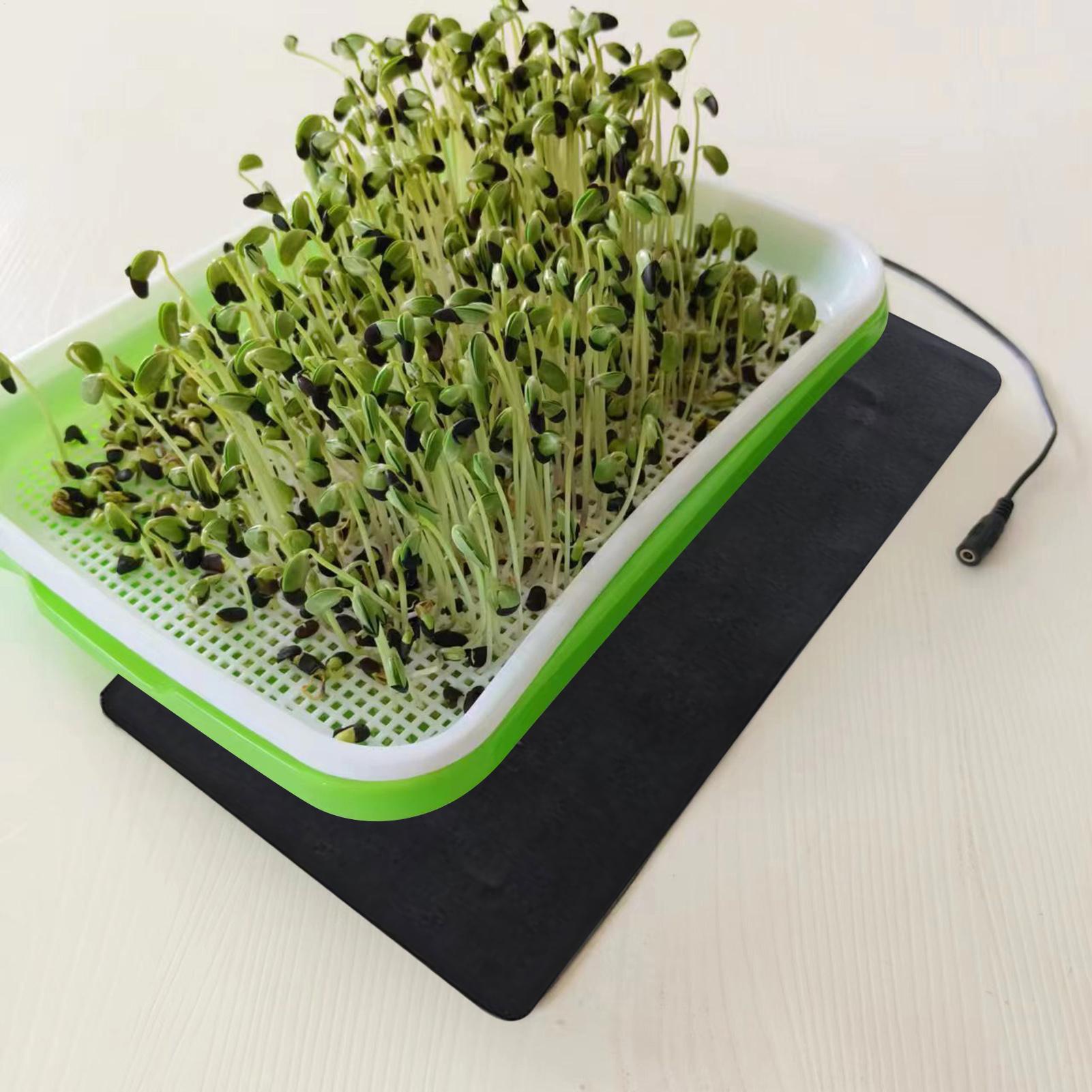 Alfombrilla Térmica para Plánt - Seedling Heat Pad reseña y precio