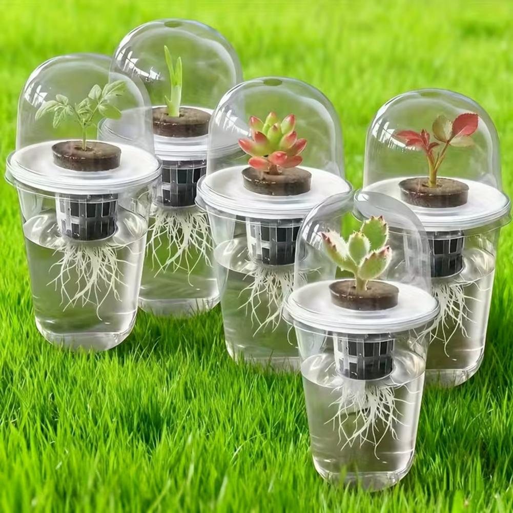 Kit de Estación de Propagación - Dome Propagation Kit reseña y precio