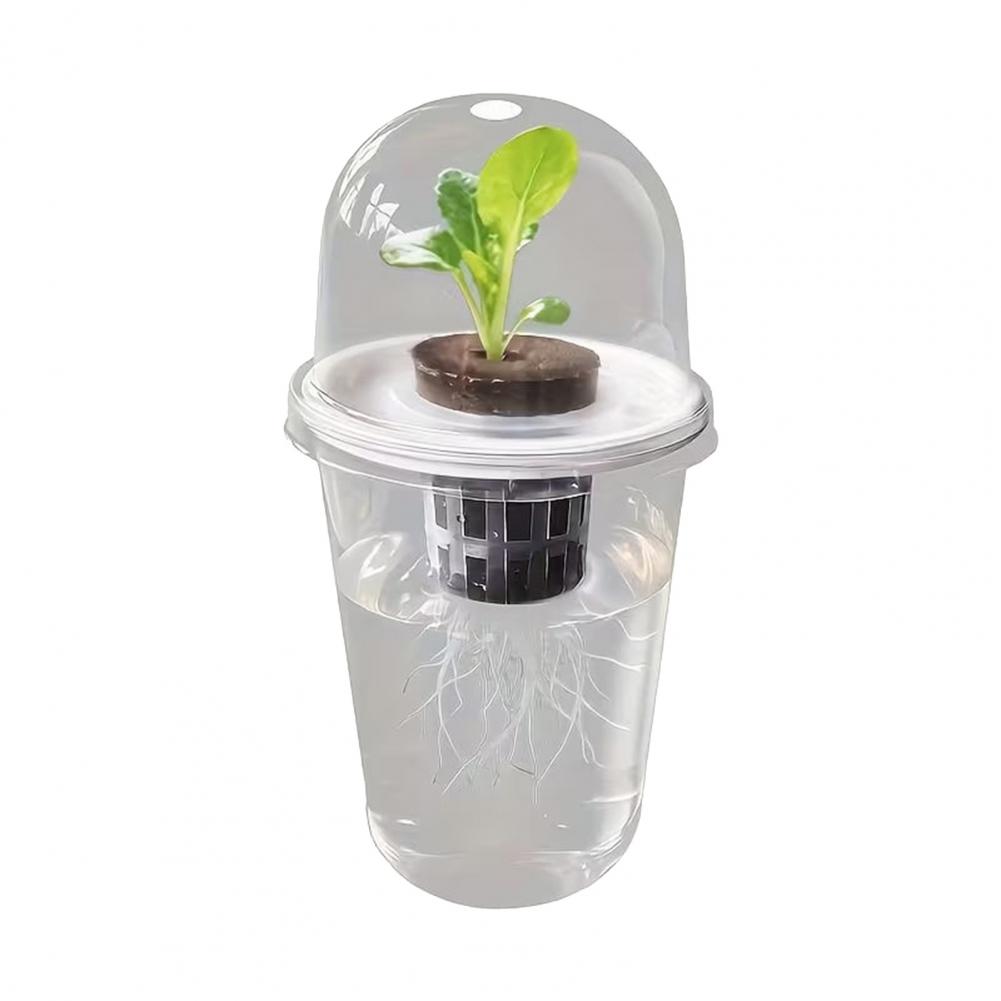 Kit de Estación de Propagación - Dome Propagation Kit reseña y precio